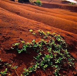 【KK×虎牙】澄海主播邀请赛圆满落幕！高玩云集，巅峰会战！